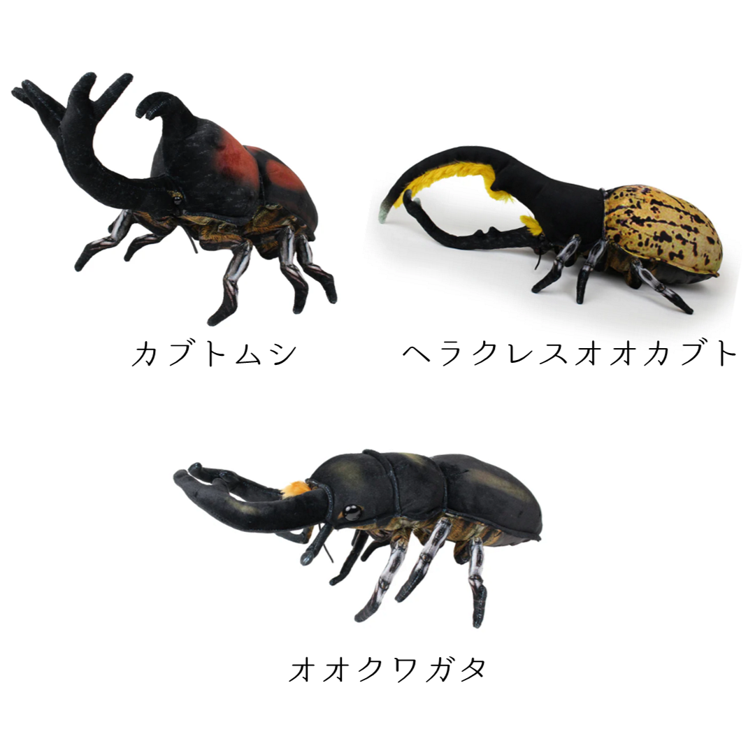 小川智大 ファンクラブ ぬいぐるみ オフィシャルサポーターズクラブ限定グッズの予約販売開始！